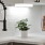 a plant in a pot on a counter