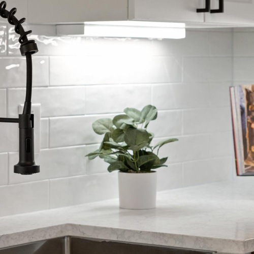 Spacious kitchens with thoughtful details a plant in a pot on a counter